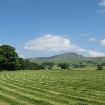 From the campsite to Penyghent hill and back. Barefoot all the way... sounds like fun!